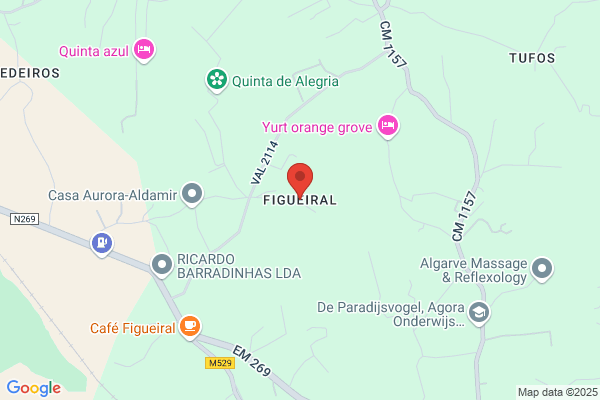 Figueira Alvela d.