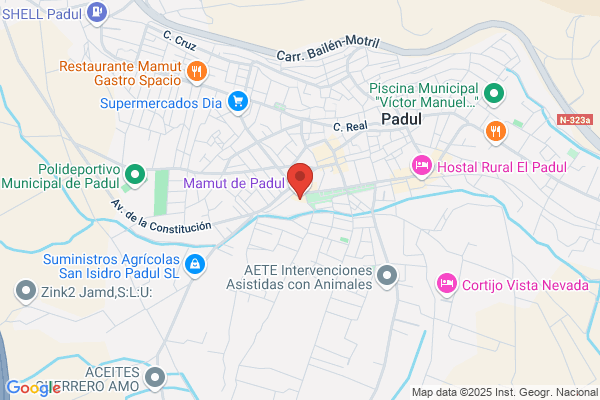 Ayuntamiento De El Padul
