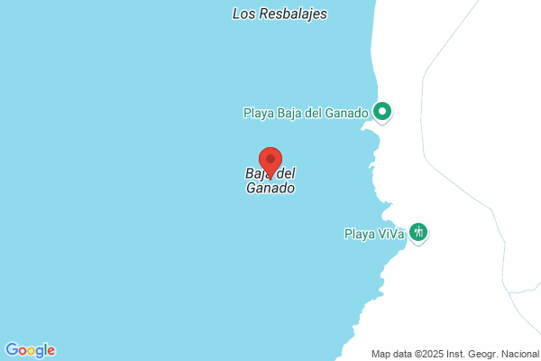 Baja Del Ganado Sl