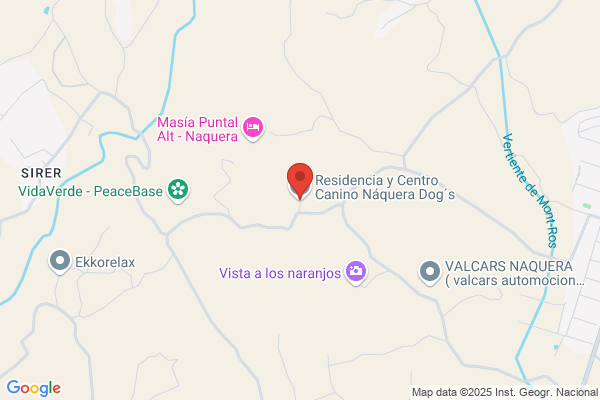 Naquera Dogs