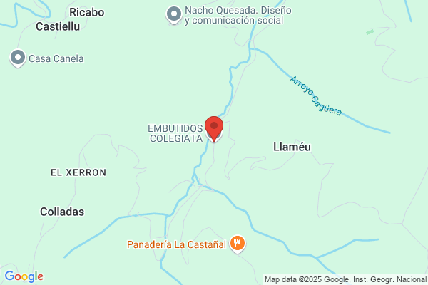 Carniceria Y Embutidos La Colegiata S.L.