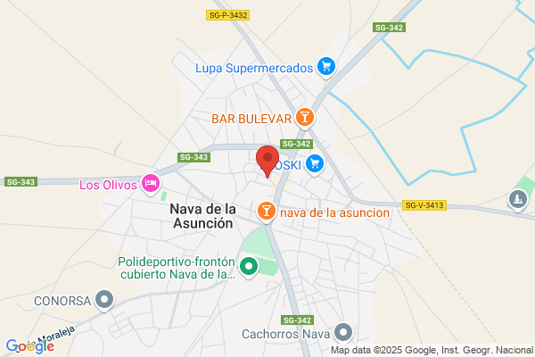 Segurinvertia Nava de la Asunción