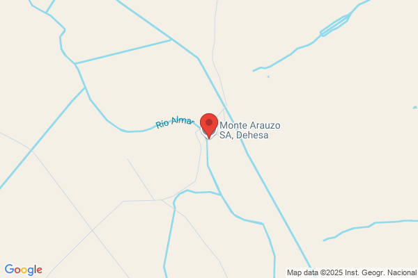 Monte Arauzo S. A.