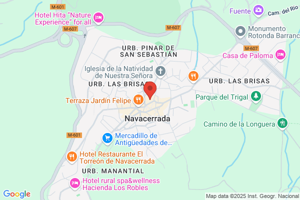 Teckel Standar Pelo Duro de Navaelmedio