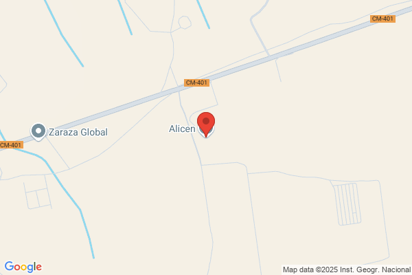 Alicen S.L.