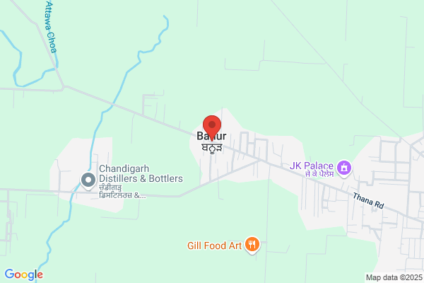 Banur S.A.