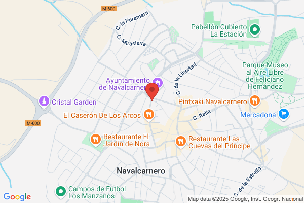Meson Restaurante Pijorro