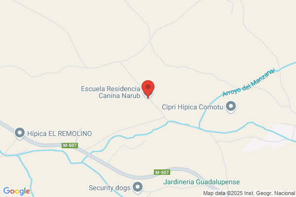 Escuela Canina Narub - Adiestramiento