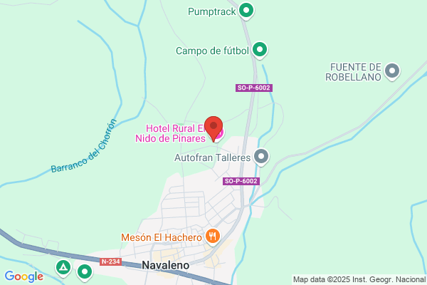 Hotel Rural De Pinares