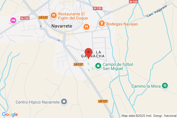Grupo Escolar Mixto Nuestra Señora Del Sagrario