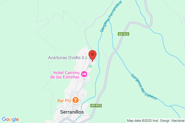 Aceitunas Ovidio S. A.