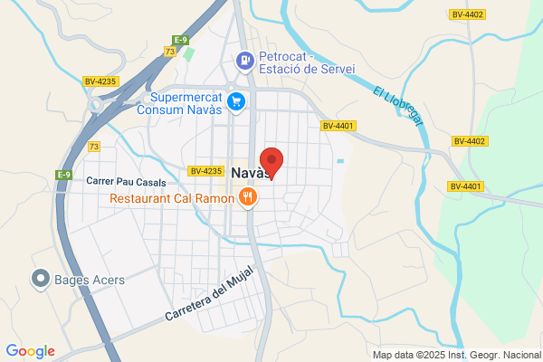 Serveis Municipals De Navas S.A.