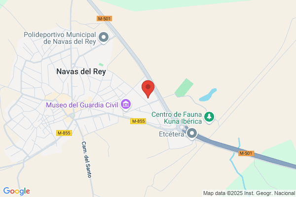 Autotalleres Navas Del Rey S. L.