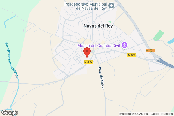 Ayuntamiento De Navas Del Rey - Centralita