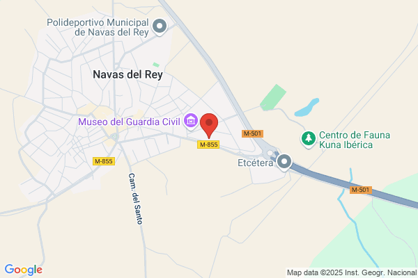Restaurante Nuevo Avenida