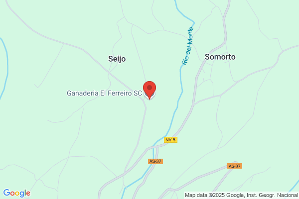 Explotacion Ganaderia Pilleira