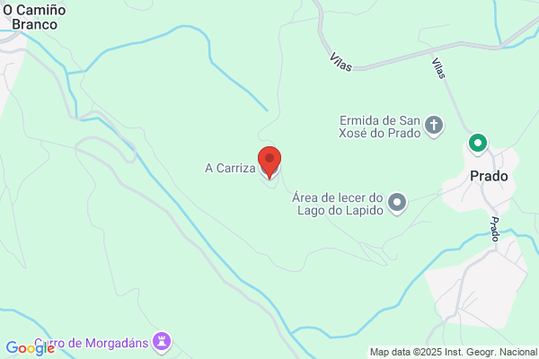 Visones Gondomar
