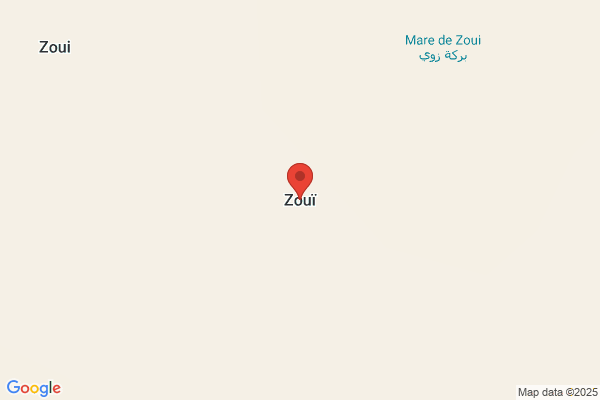 Zouiouig h.
