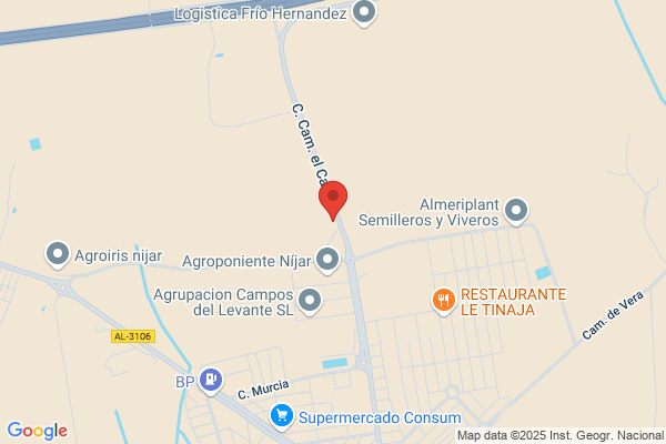 Taller Mecanico Campohermoso Import S.L. - Servicio volkswagen audi