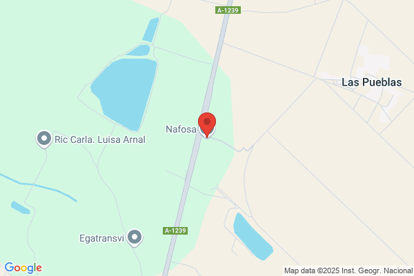 Napesa S.A.
