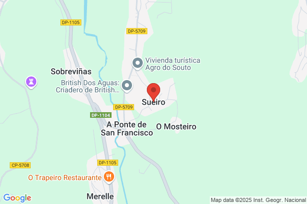 Queiro Queiro j.