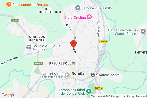 Adepas Asociacion Pro Deficientes Psiquicos De Asturias