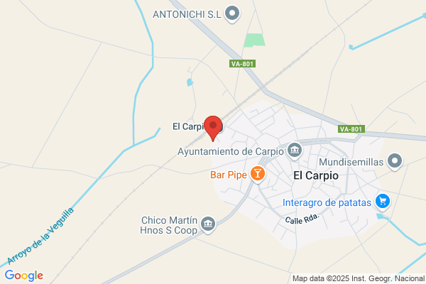 Residencia Condes Del Carpio