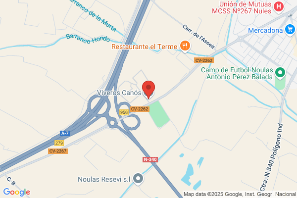 Canos Casaus f.