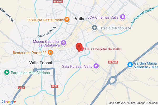 Pius Hospital De Valls