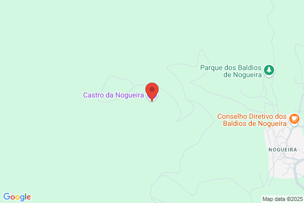 Nogueira De Castro j.