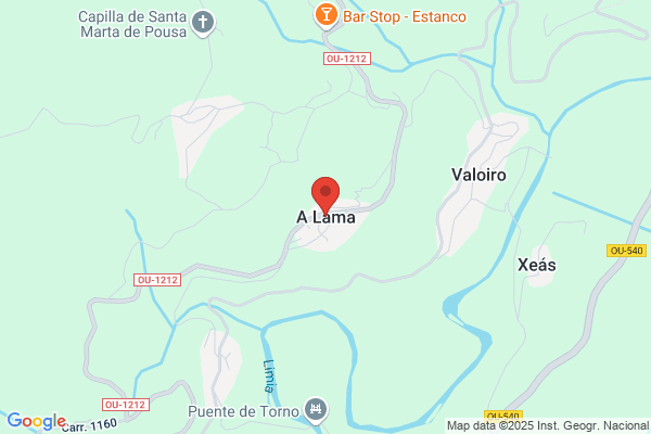 Lama Losada h.