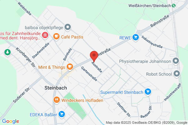 Gomez Pereira j.