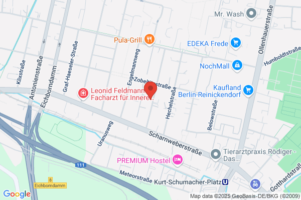 Mazoy Rodriguez j. A.