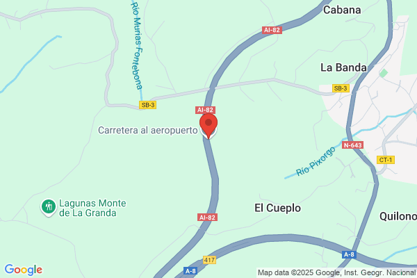 Iberia Lineas Aereas De España S.A.