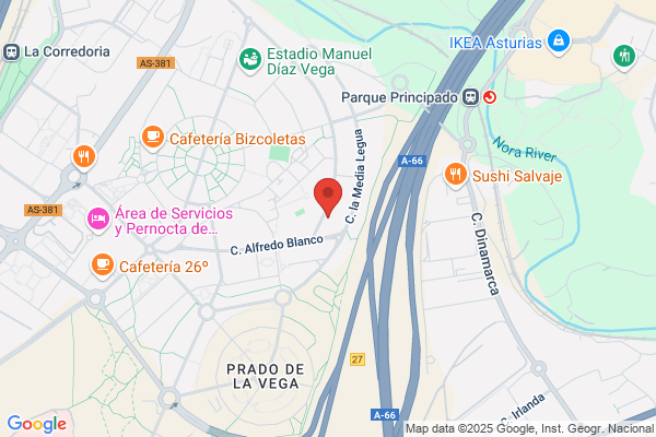 Lijados Y Barnizados Rps