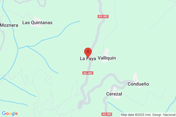 Faya Faya i.
