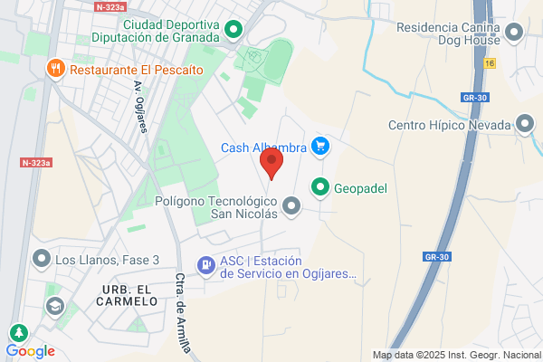 Prosegur Compañia De Seguridad S.A.