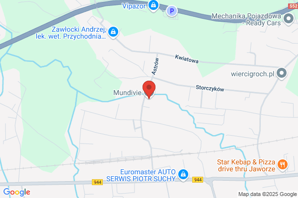 Mundivia S.A.