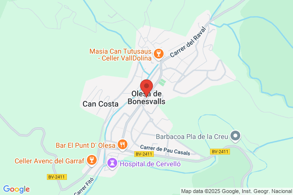 Olivella Cusco j.