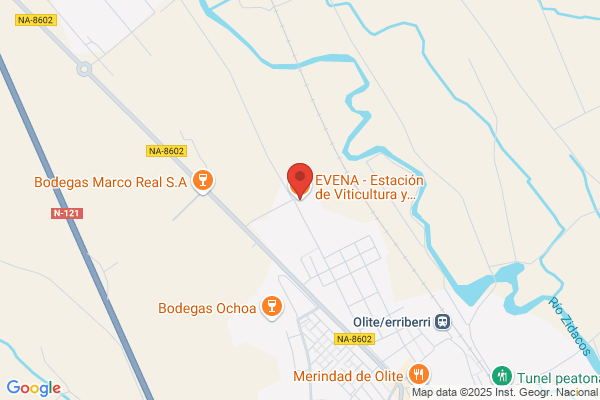 Estacion De Viticultura Y Enologia De Navarra
