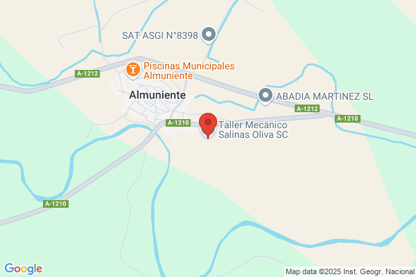 Salinas Romero i.