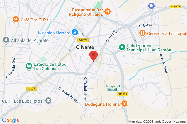 Peña Cultural Sevillista Virgen De Las Nieves