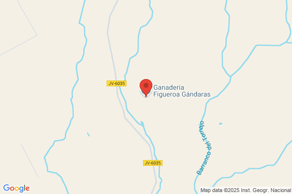 Figueroa Castro - Expl. Agrop. Finca Los Arrifes de Abajo j.
