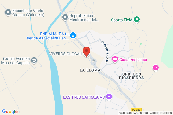Mañez Izquierdo s.