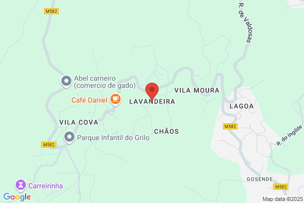 Lavandeira Bau j.