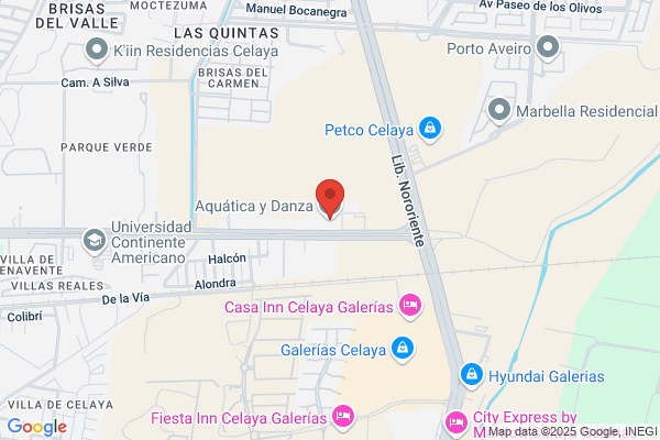 Anduaga Celaya v.