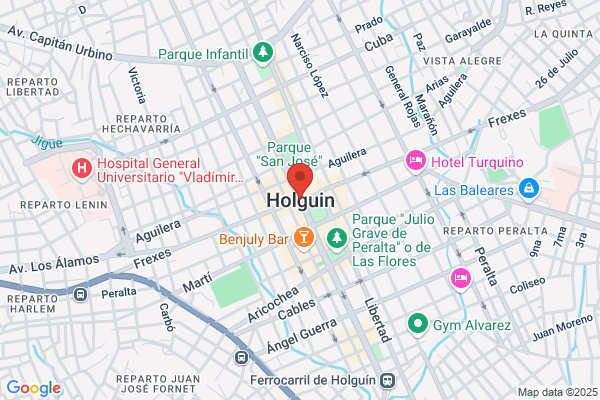 Holguin Martin a.