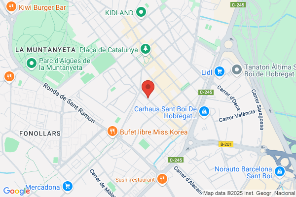 Balmes Ricart j.