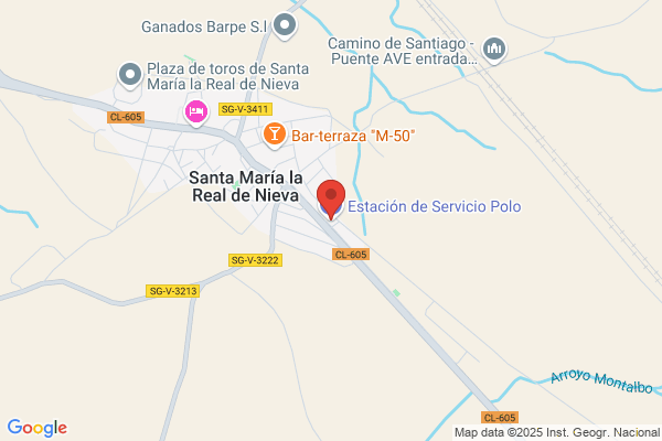 Estación de Servicio Polo