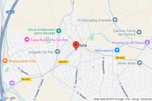 Supermercado Virgen De De Las Nieves S.L.